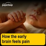 How the early brain feels pain
