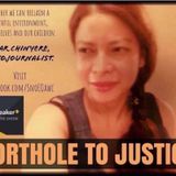 Episode 319 - Porthole to Justice Guest Sahar Chinyere Photo Journalist and Activist gangstalking and targeting
