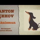 Anton Çehov - Bukalemun