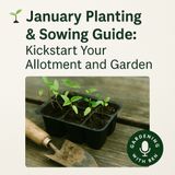 🎧 January Planting & Sowing Guide: Kickstart Your Allotment and Garden
