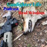 223 in 2024 State of the Cartridge Address - 5.56 Varmint Hunting Assault and Bipedal Predators
