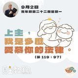 9月2日常年期第二十二周星期一【上主，我是多麼愛慕你的法律。】(詠 119：97）