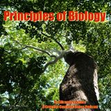Chapter 21.6 Angiosperms