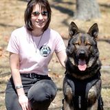 1318. Providing Protective Vests To Police Dogs - Pet Food Stamps