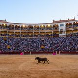 Al Alimón: Comienza la Feria de Otoño en Las Ventas