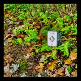 Irvine trail summit run