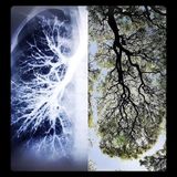 3 part breath