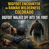 A Veteran and His Son Encounter Bigfoot in Colorado’s Rawah Wilderness | Sasquatch Near a Dead Cow