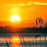 DO NOT BE TROUBLED (Episode 520 - Preachify Daily Devotional)