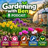Planting 500 Spring Bulbs, Cyclamen & Preparing for a Storm | Gardening with Ben