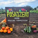 Osadzeni hodują własne warzywa. Zdrowa żywność za murami aresztu.