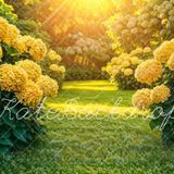 Melodia in sol maggiore