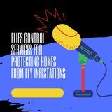 Flies Control Services for Protecting Homes From Fly Infestations