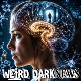 The Fear-Memory Machinery Hiding Only in Female Brains | #WeirdDarkNEWS