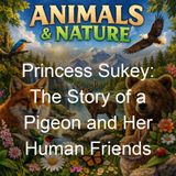 Princess Sukey The Story of a Pigeon and Her Human Friends - Marshall Saunders