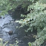 Episode 24 - Heart fire & Cunning Will's podcast