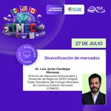 699 - Diversificación de Mercados: Estrategias para Expandir Negocios Internacionales
