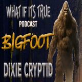 Archive 001 Bigfoot Encounter