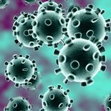 The Importance of Coronovirus (COVID-19) and It’s Relationship to Close Contact