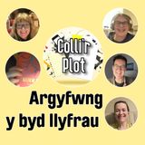 Argyfwng Y Byd Llyfrau