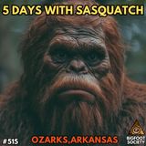 It Heard My Thoughts! | 5 Days with Sasquatch in Arkansas