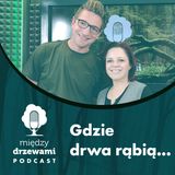 Między Drzewami #91 Gdzie drwa rąbią... tam spotkasz ZULi [Hubert Grabara, Nadleśnictwo Toruń]