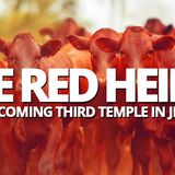 The Red Heifers and the Coming Third Jewish Temple