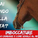 # 138 - La Progressione nell'Uso delle Imboccature: Quando Cambiare e Come Usarle al Meglio