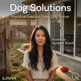 Dog Solutions - Mastering the Walk and the Front Door