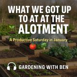 🎧 🌱 What We Got Up To at the Allotment | A Productive Saturday in January 🍅🥦