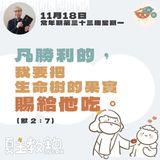 11月18日常年期第三十三周星期一【凡勝利的，我要把生命樹的果實賜給他吃。】 (默 2：7）