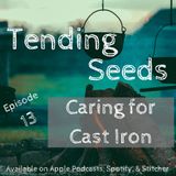 Ep 13 - Caring For Cast Iron