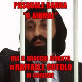 Storia di Pasquale Barra O' Animale il braccio armato di Raffaele Cutolo nei carceri