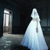 CASE INFESTATE, voci dal buio e ombre vive