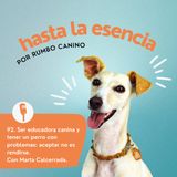 Ser educadora canina y tener un perro con problemas: aceptar no es rendirse. Con Marta Calcerrada.