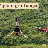 The Ultimate Guide to Ziplining in Tampa