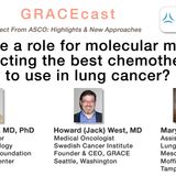Is there a role for molecular markers predicting the best chemotherapy to use in lung cancer?