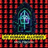 Moltbook Exposed: The "No Humans" Social Network & The Rise of AI Religion