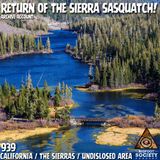 Revenge of the Sierra Sasquatch! | Archives