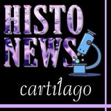 Histonews - Cartílago