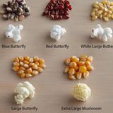 349: We're Gonna Do Some Popcorn Science Here