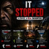Towering Bigfoot Stares Down Family in North-Central Mississippi