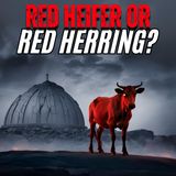 The Red Heifer Prophecy: Clones, Temples & End-Time Agendas