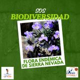 SOS Biodiversidad_Flora-endémica-de-Sierra-Nevada