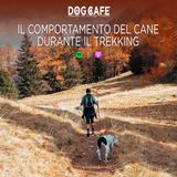 110 - Il comportamento del cane durante il trekking.