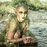 Dodgy Nymph