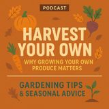 🎧 🍂 Harvest Your Own: Why Growing Your Own Produce Matters | Gardening Tips & Seasonal Advice 🌱