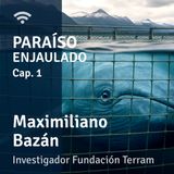 Capítulo 1: Elusión, sobreproducción y caducidad. Entrevista a Maximiliano Bazán