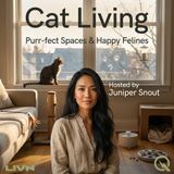 Cat Living - Designing Your Home Through Your Cat's Eyes