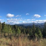 Fasting Social Media - #analoglife